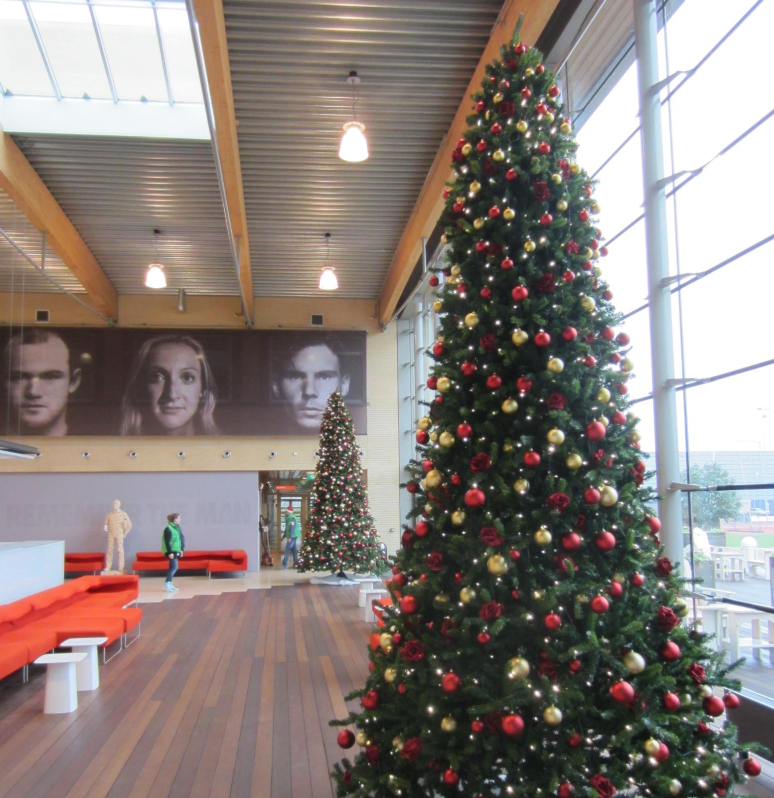 storm Uitvoerbaar George Bernard Boomvoorkerst Grote kerstbomen huren voor een grote kerst impressie |  Boomvoorkerst